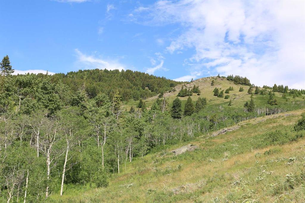Fifth View of none Hwy 774  , NONE, Beaver Mines, Alberta, T0K 1W0