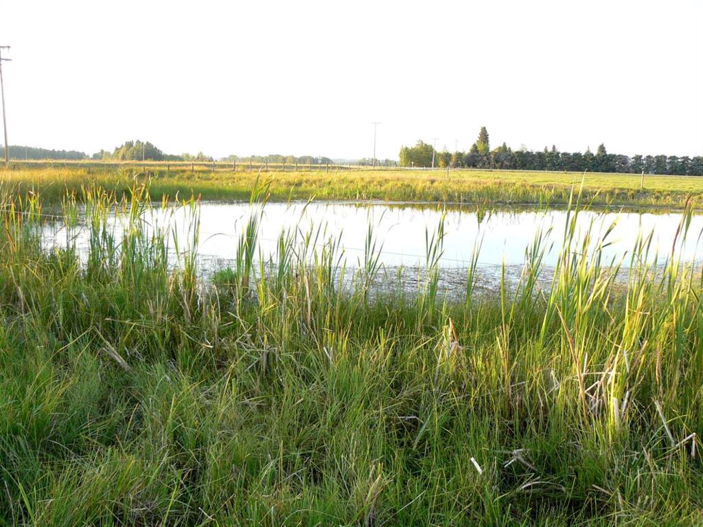 Third View of On Highway 598  , NONE, Rural Clearwater County, Alberta, T0M 1H0