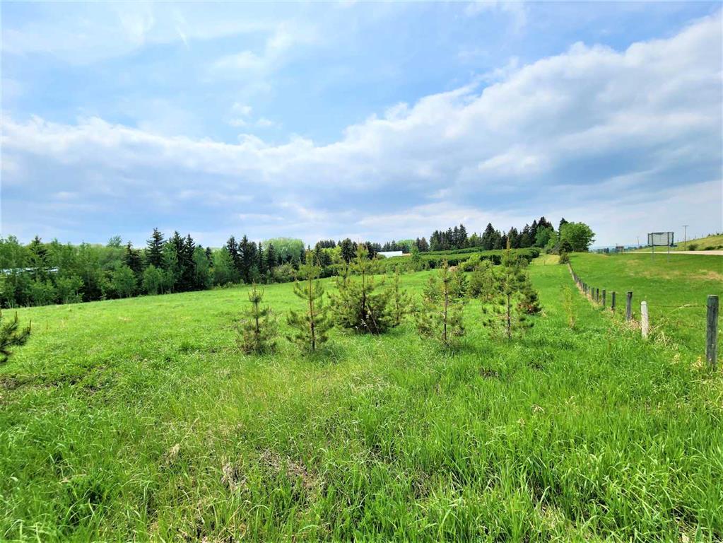 Fifth View of Lot 24,  26553 11 Highway , Herder, Rural Red Deer County, Alberta, T4E 1A5