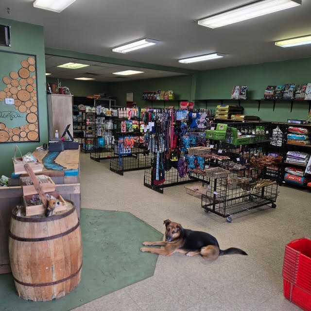 Third View of 4, 517 10 Avenue , NONE, Carstairs, Alberta, T0M0N0