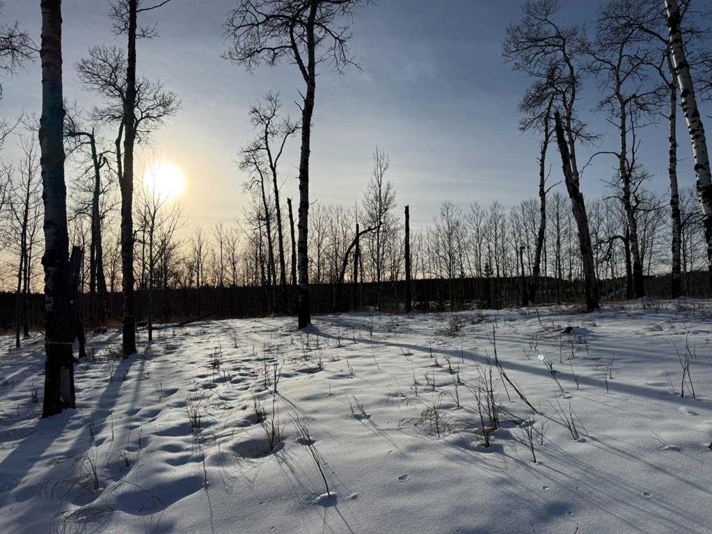 3, 5228 Highway 579  , A2282234, Alberta,