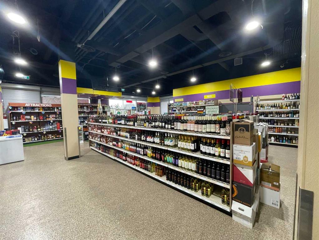 Third View of Edmonton, Alberta