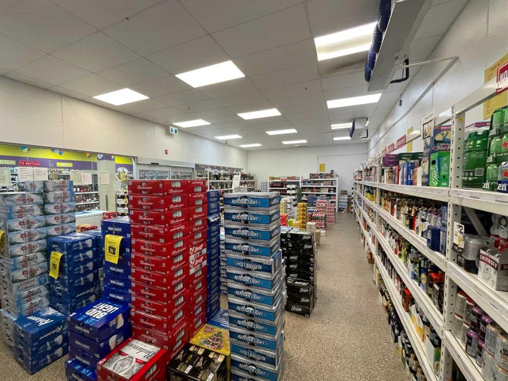 Fifth View of Edmonton, Alberta