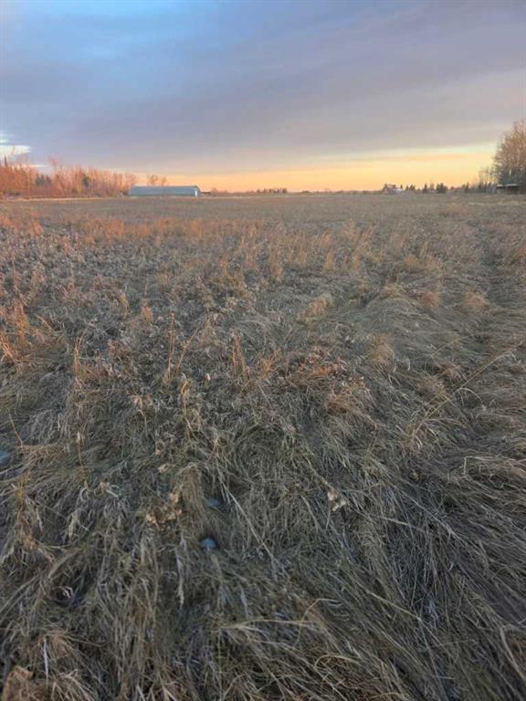 Fourth View of  10 Acres - Township Road 240A  , Springbank, Rural Rocky View County, Alberta, T3Z2Y1