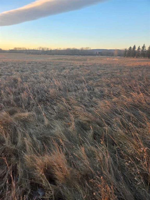 Fifth View of  10 Acres - Township Road 240A  , Springbank, Rural Rocky View County, Alberta, T3Z2Y1