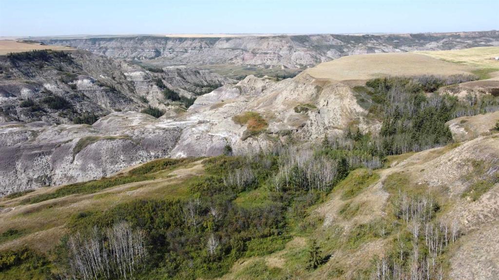Second View of 340044 Range Road 215  , NONE, Rural Starland County, Alberta, T0J 2B0