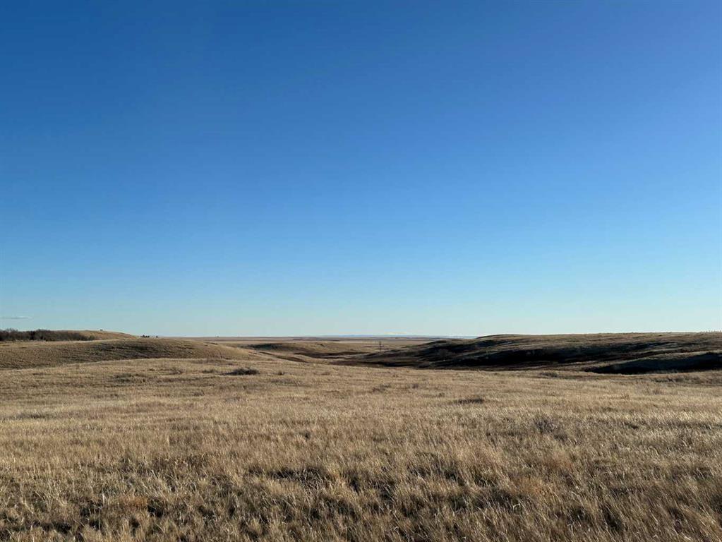 Fourth View of  Along Township Road 164  , NONE, Rural Cypress County, Alberta, T0J 3B0