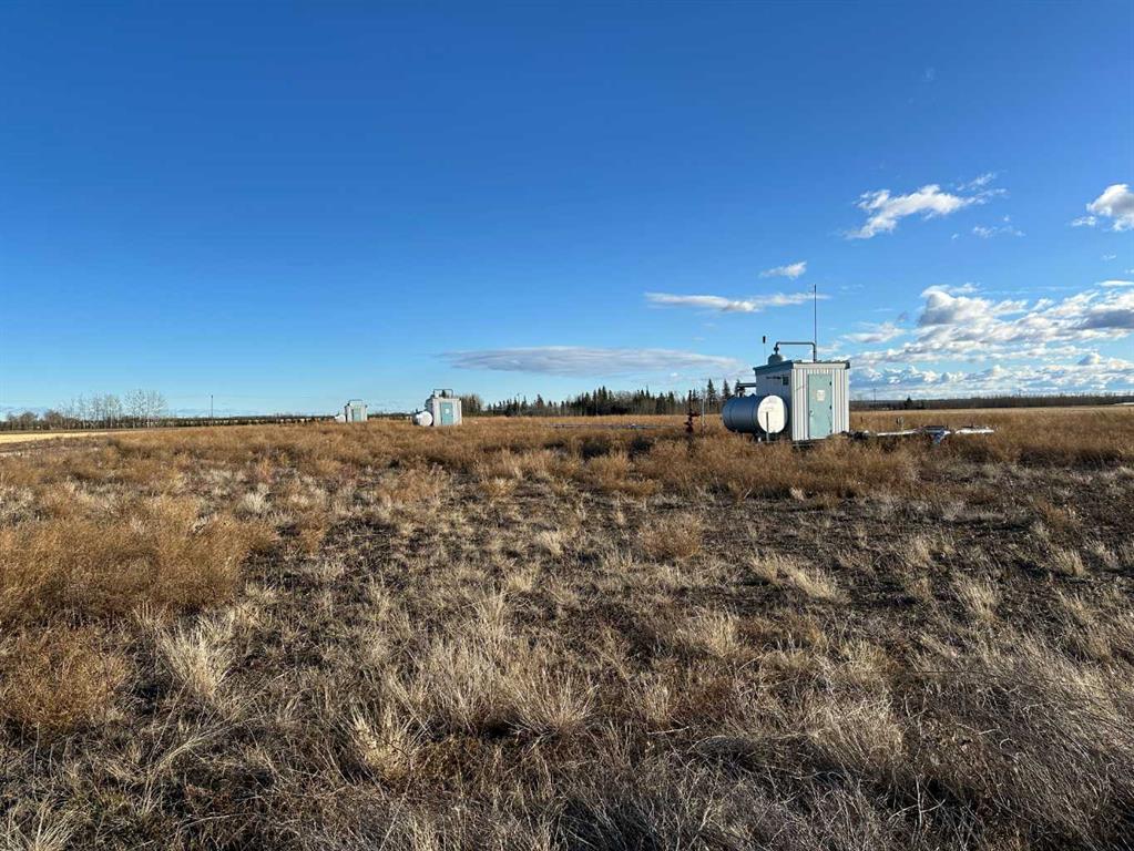 Fifth View of NE-16-77-21-W5 Range Rd 213  , NONE, Falher, Alberta, T0H 1M0