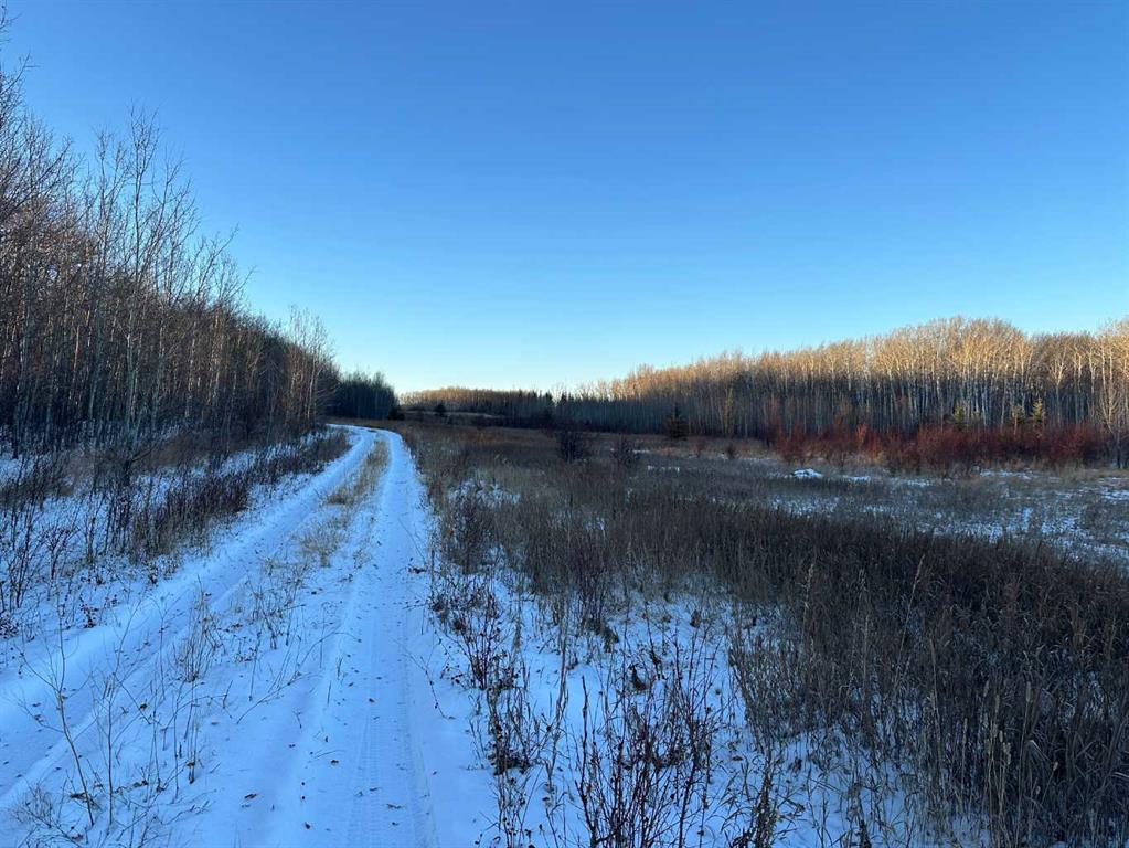 Fifth View of NE-3-84-1-W6 Range Rd 12  , NONE, Hines Creek, Alberta, T0H 2A0