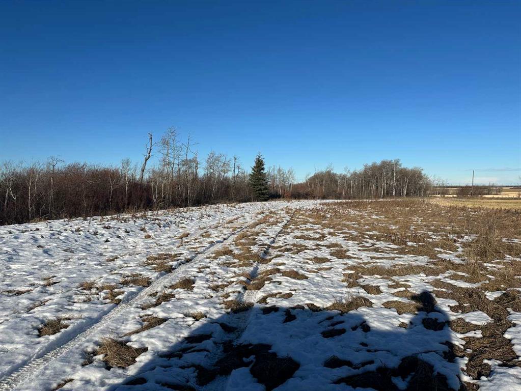 Fourth View of NW-18-77-4-W6 Township Rd 773  , NONE, Peoria, Alberta, T0H 3G0