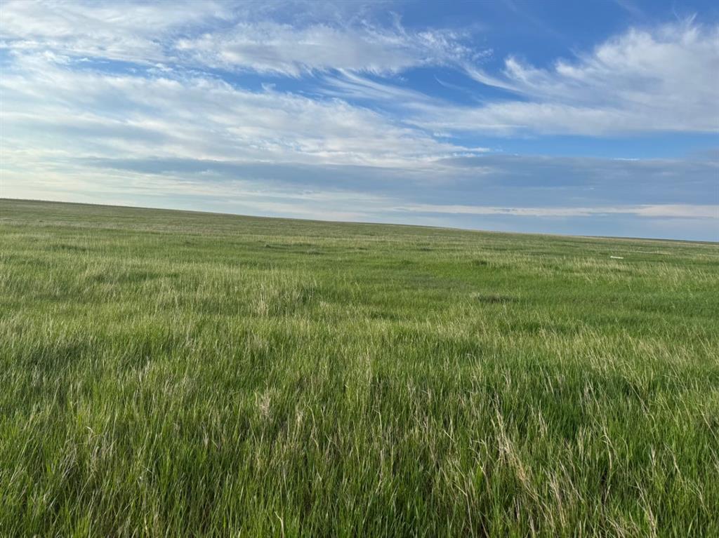 Fifth View of  Range Road 212  , NONE, Rural Vulcan County, Alberta, T0J0S0