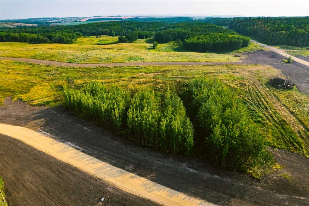 Fifth View of  SW 1/4 Sec 21-42-1-5 ; Lot 2  , NONE, Rural Ponoka County, Alberta, T0C 2J0