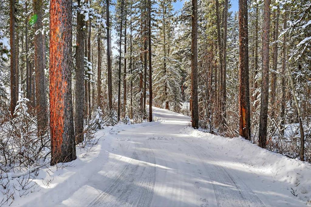Fourth View of 328 Wild Rose Close , Wild Rose Count Est, Rural Rocky View County, Alberta, T3Z 3R3