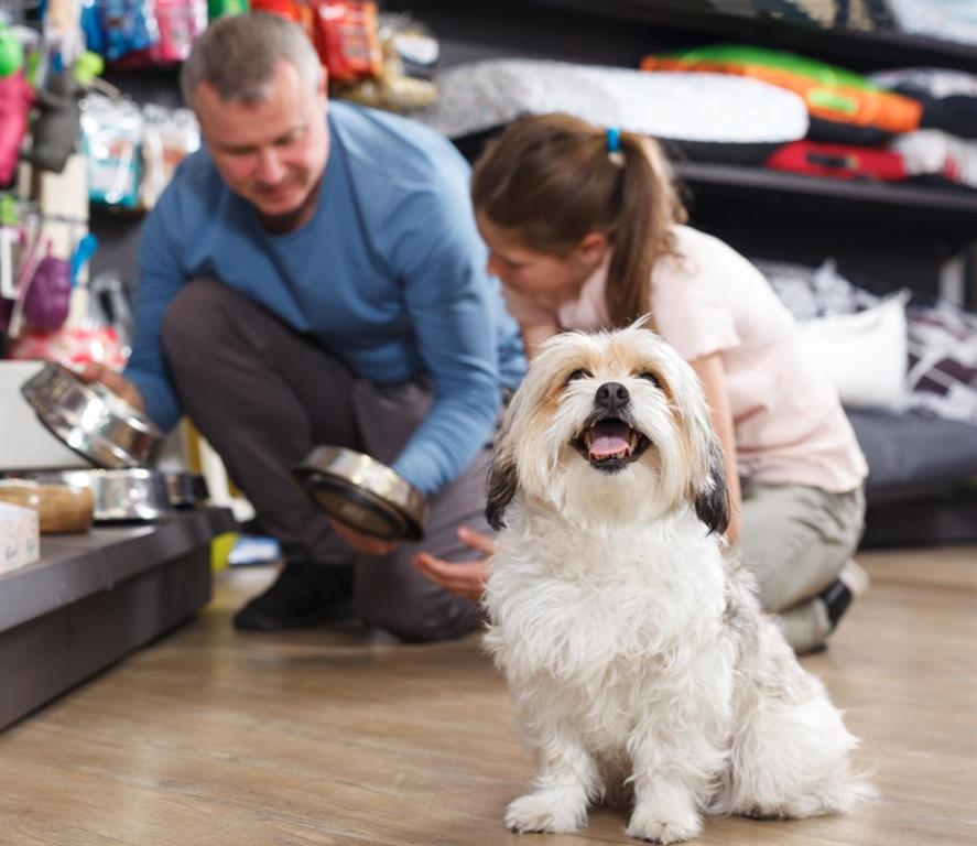 123 Pet Store Way  , A2287984, Alberta,