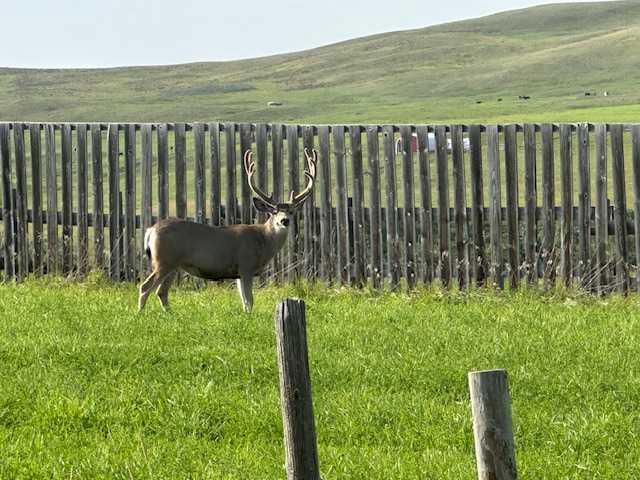 340 4th Street N, A2288436, Alberta,