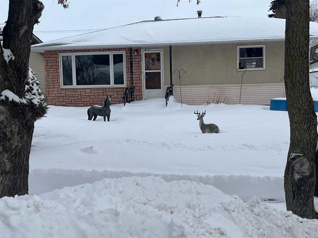 Second View of 5015 53 st  , NONE, Mannville, Alberta, t0b2w0