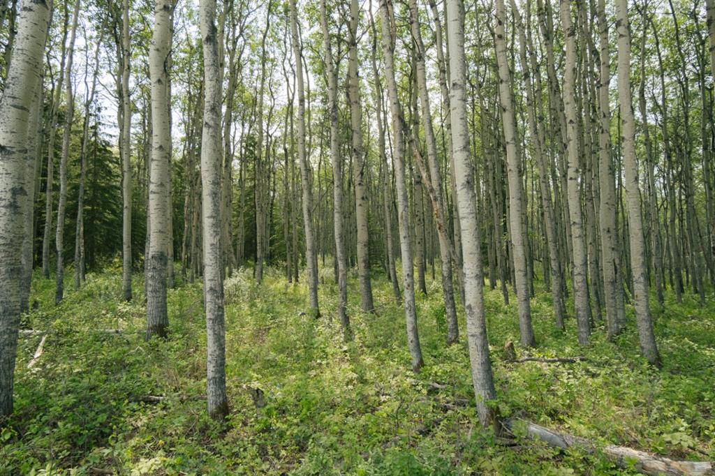 Second View of lot 3, Range Road 84 Township Road 722  , NONE, Wembley, Alberta, T0H 2J0