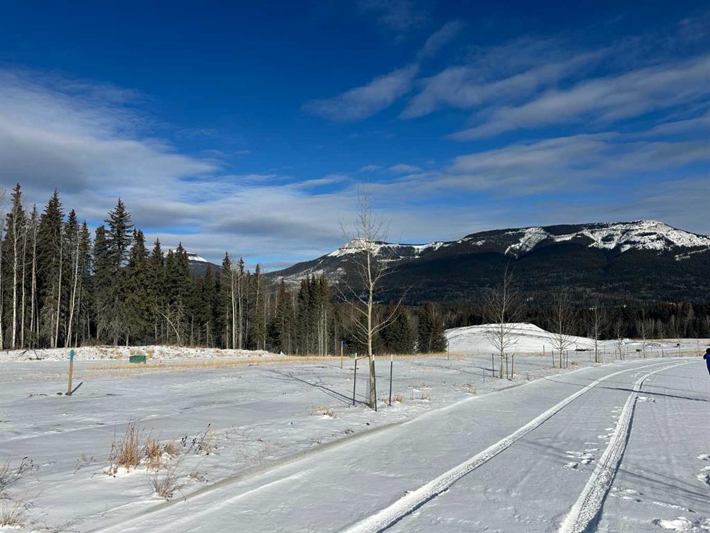 Third View of 417 LILY Avenue , NONE, Nordegg, Alberta, T0M 2H0