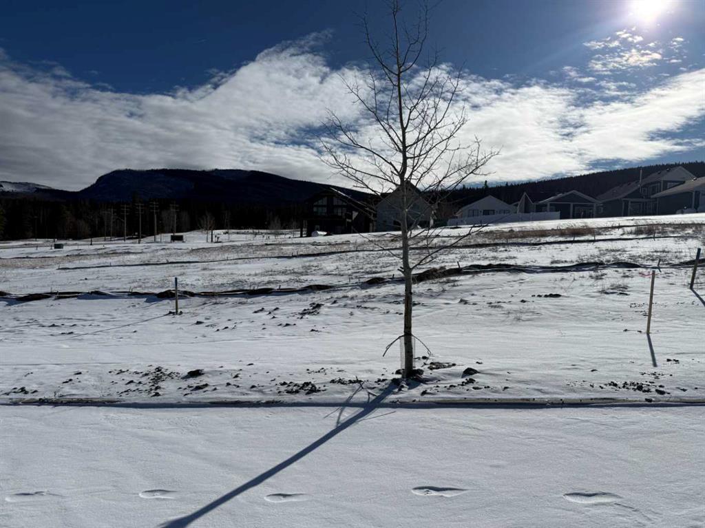 Second View of 425 LILY Avenue , NONE, Nordegg, Alberta, T0M 2H0