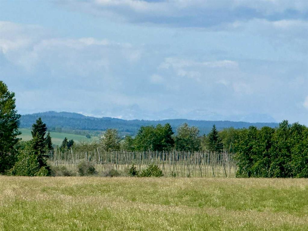 Third View of  RR40 south of Twp Rd 293  , NONE, Rural Mountain View County, Alberta, T0M 0S0