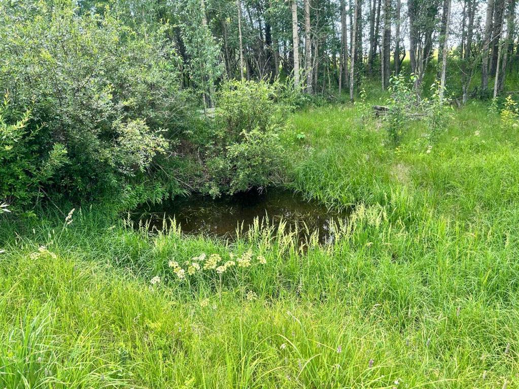Fourth View of  RR40 south of Twp Rd 293  , NONE, Rural Mountain View County, Alberta, T0M 0S0