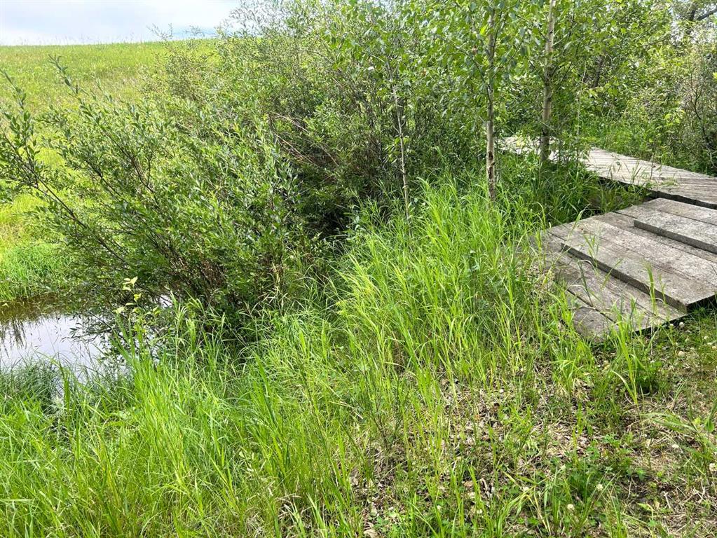 Fifth View of  RR40 south of Twp Rd 293  , NONE, Rural Mountain View County, Alberta, T0M 0S0
