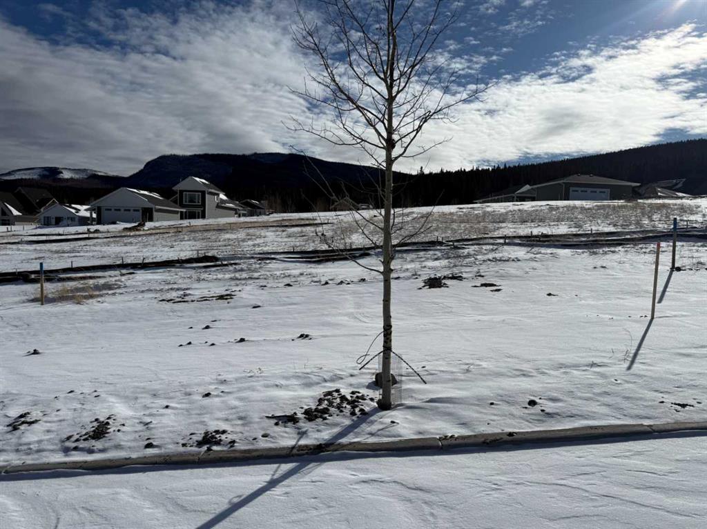 449 LILY Avenue , A2289688, Alberta,