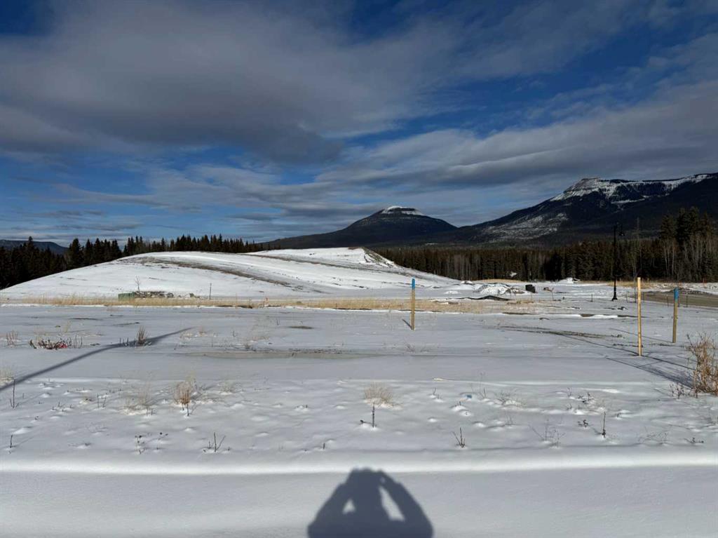 404 LILY Avenue , A2289698, Alberta,