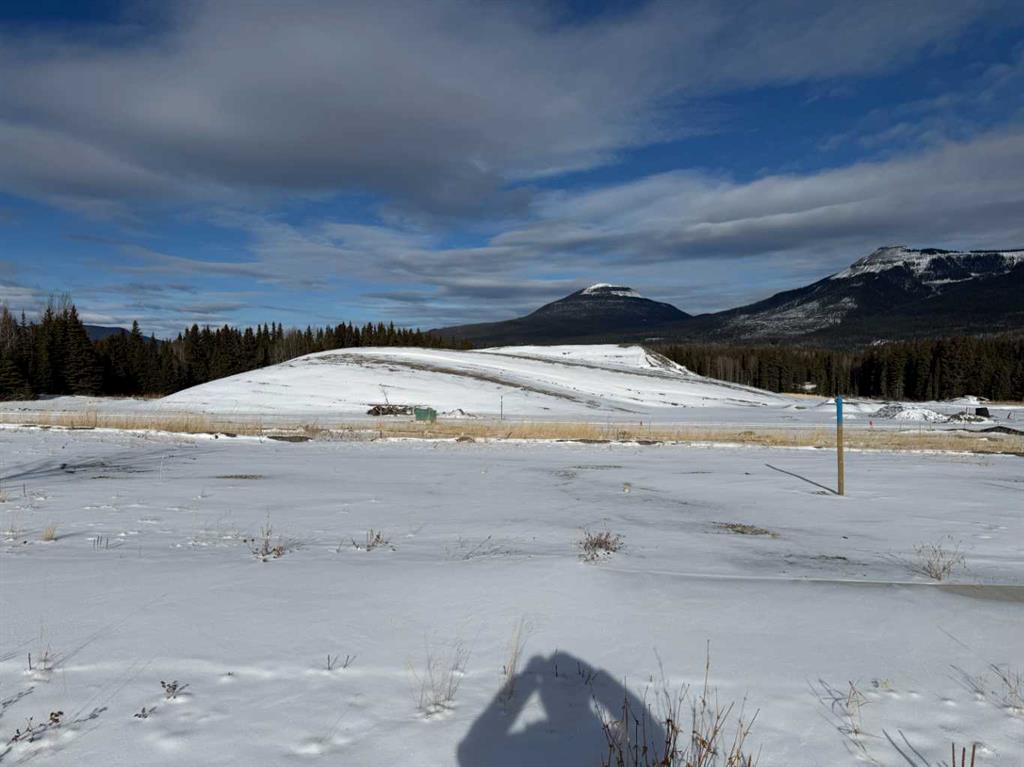 408 LILY Avenue , A2289702, Alberta,