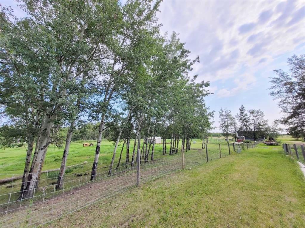 Fifth View of 7342 677 Highway , NONE, Woking, Alberta, T0H3V0