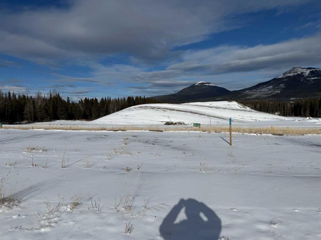 412 LILY Avenue , A2289767, Alberta,