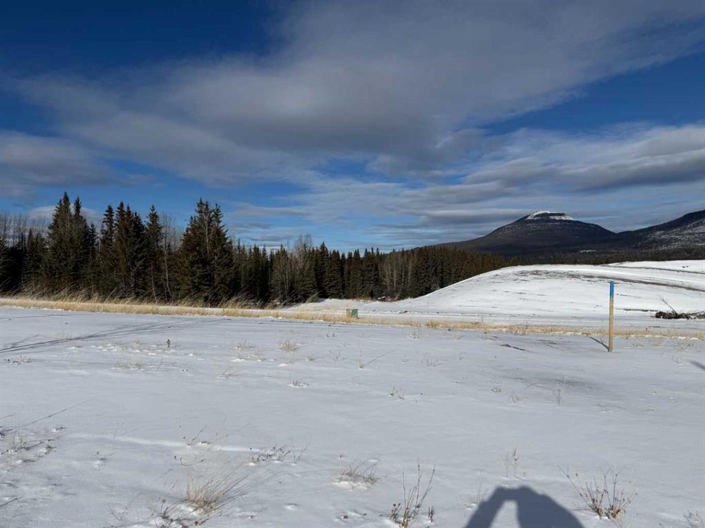 Second View of 420 LILY Avenue , NONE, Nordegg, Alberta, T0M 2H0