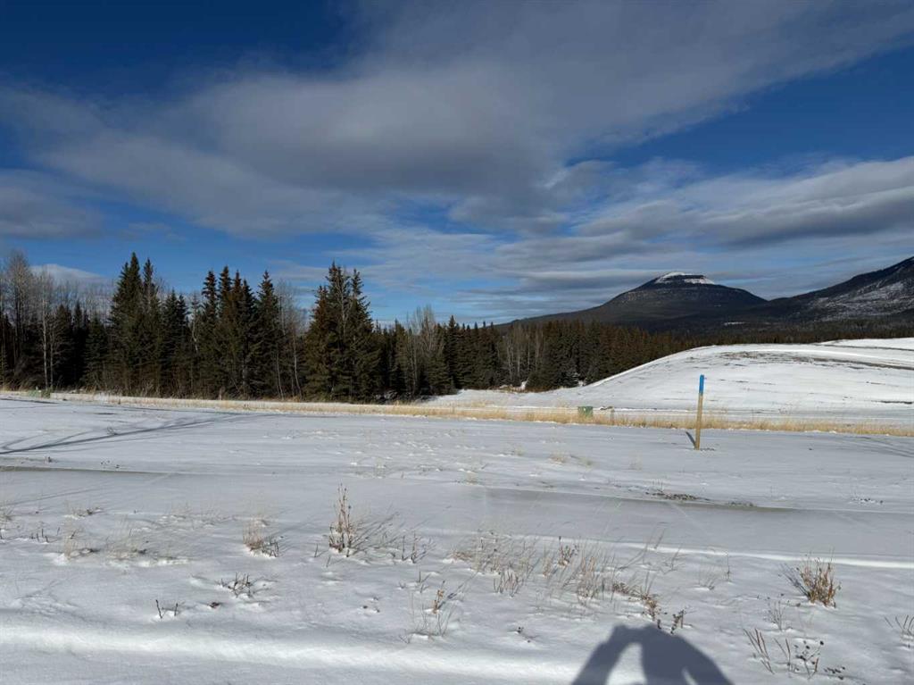 424 LILY Avenue , A2289773, Alberta,