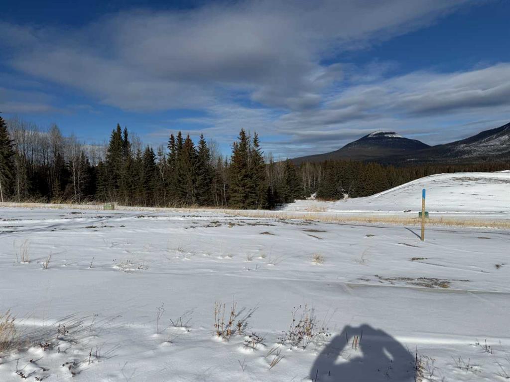 Second View of 428 LILY Avenue , NONE, Nordegg, Alberta, T0M 2H0