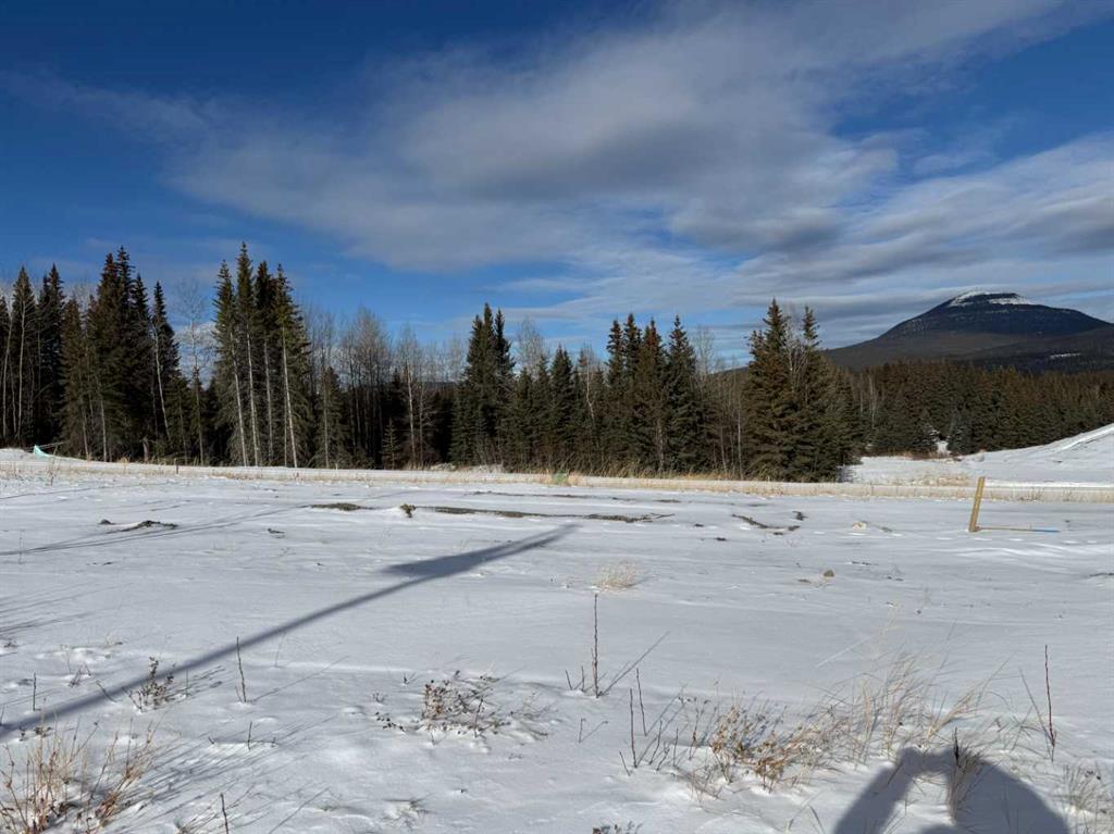 432 LILY Avenue , A2289778, Alberta,