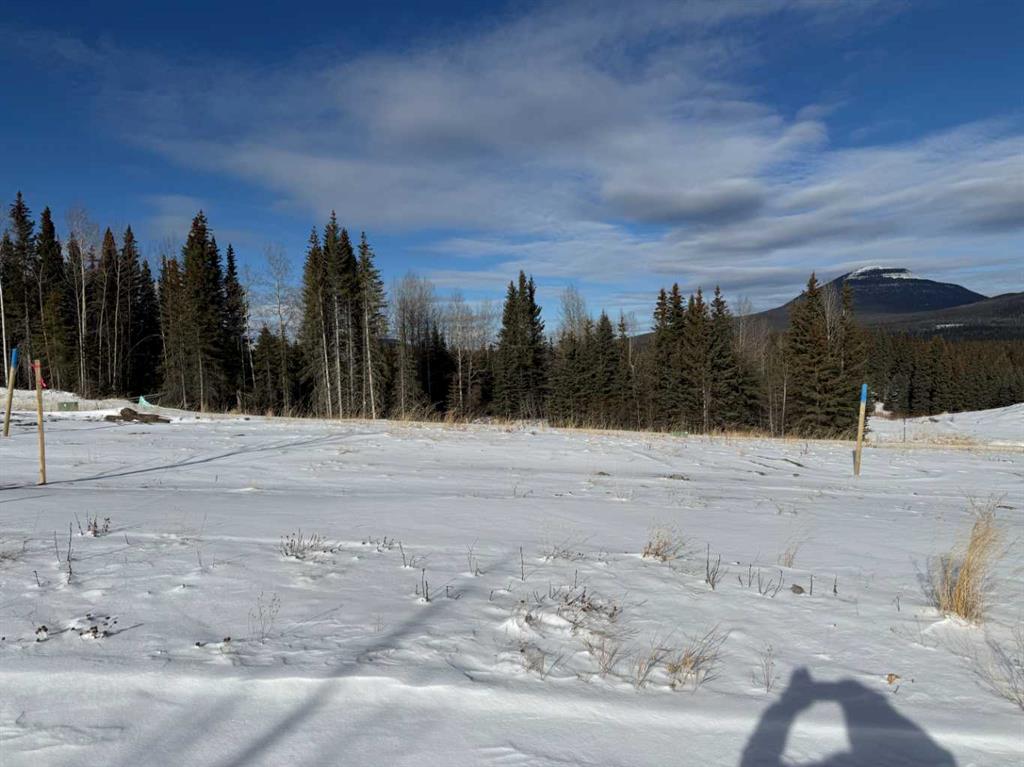 436 LILY Avenue , A2289779, Alberta,