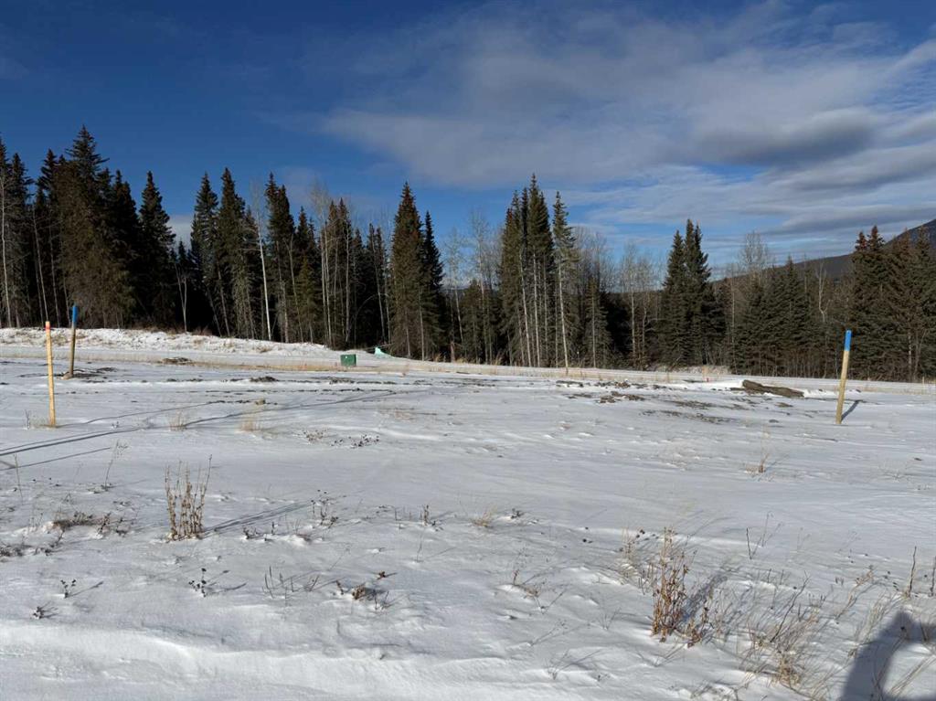 Second View of 440 LILY Avenue , NONE, Nordegg, Alberta, T0M 2H0