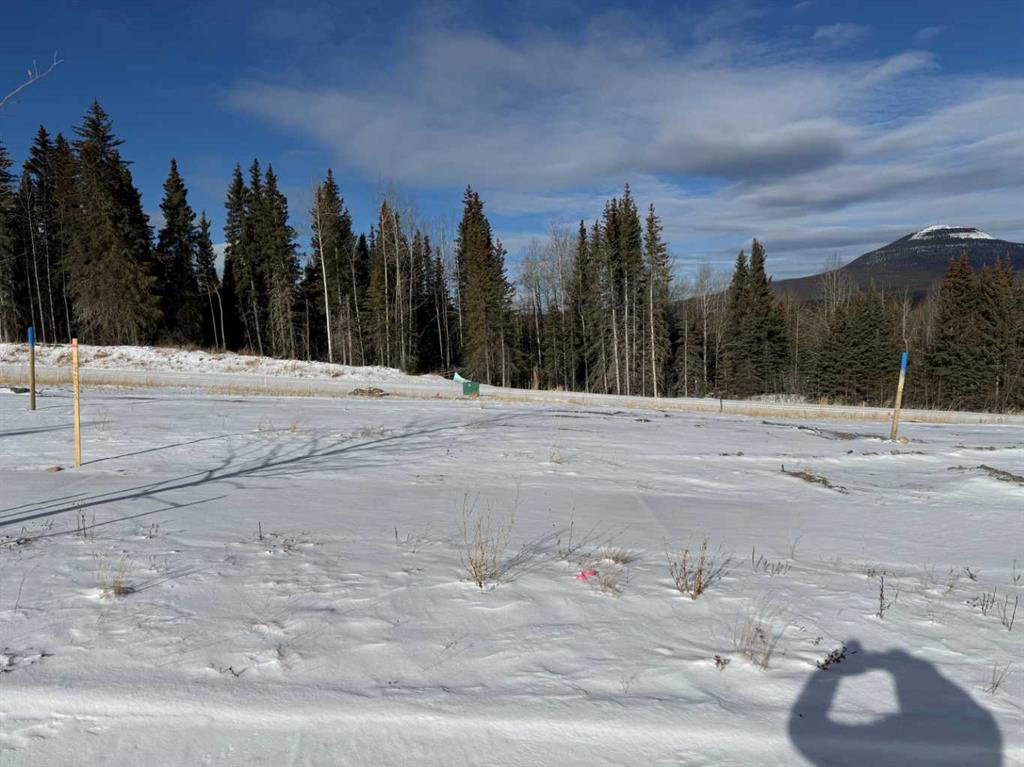 444 LILY Avenue , A2289783, Alberta,