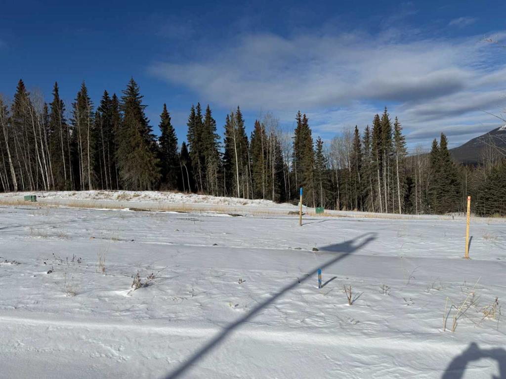 448 LILY Avenue , A2289785, Alberta,