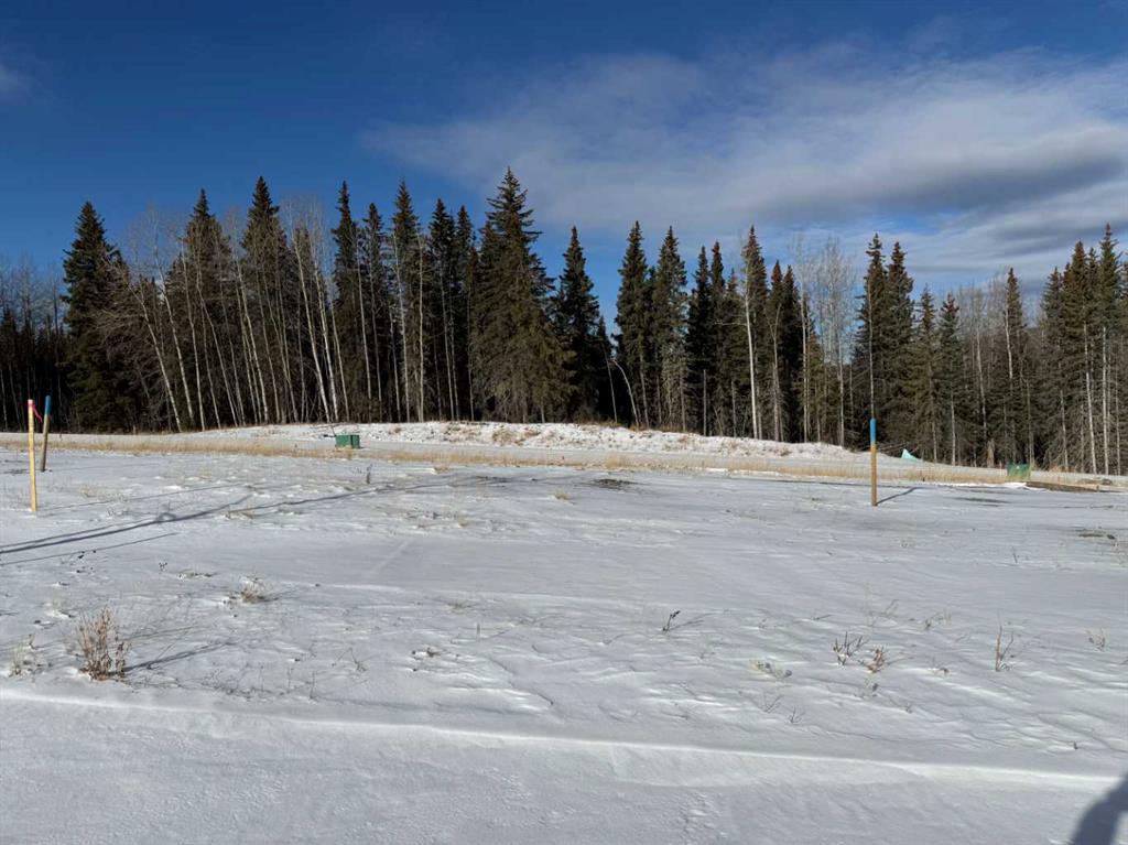 452 LILY Avenue , A2289787, Alberta,