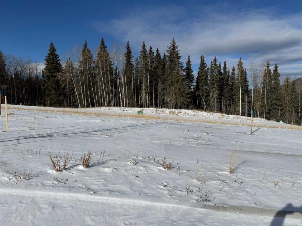 456 LILY Avenue , A2289788, Alberta,