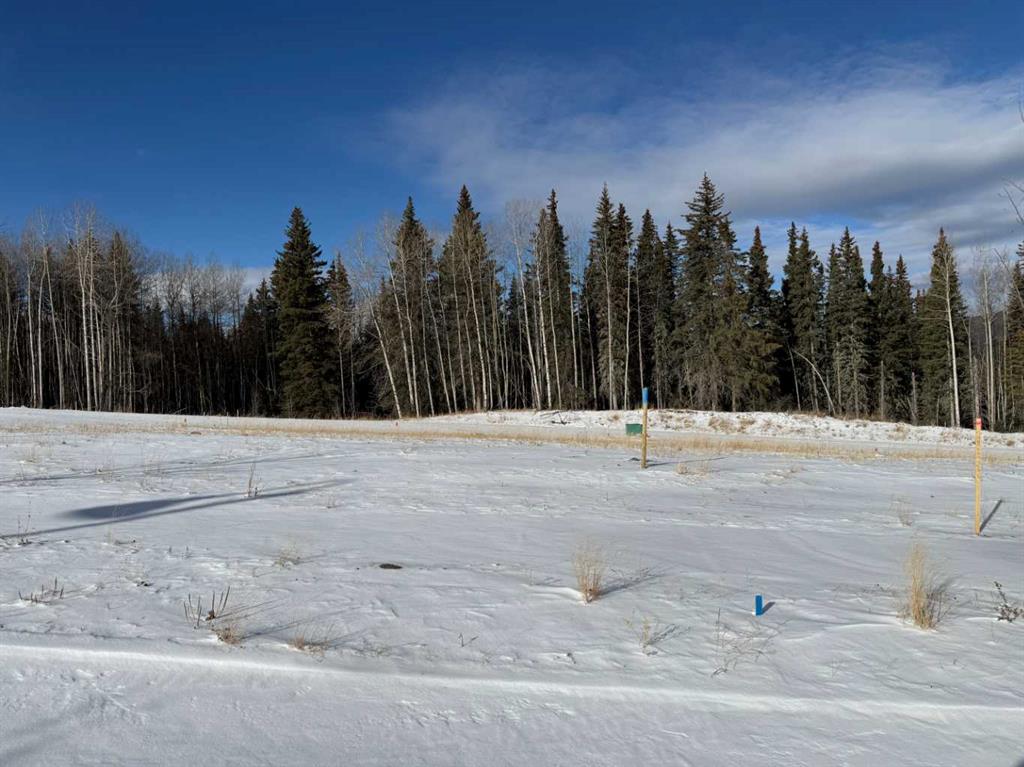 Second View of 460 LILY Avenue , NONE, Nordegg, Alberta, T0M 2H0