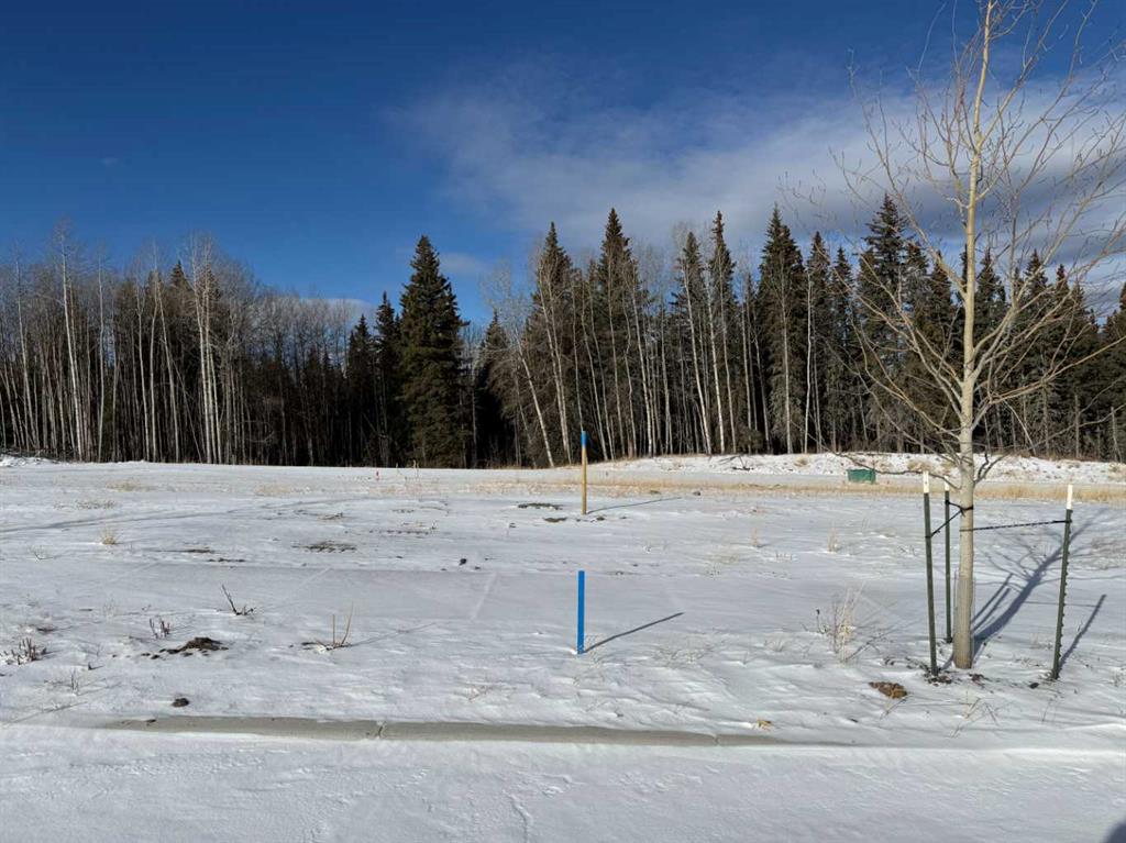 Second View of 464 LILY Avenue , NONE, Nordegg, Alberta, T0M 2H0