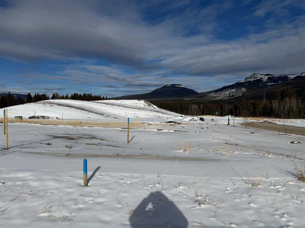 Third View of 464 LILY Avenue , NONE, Nordegg, Alberta, T0M 2H0