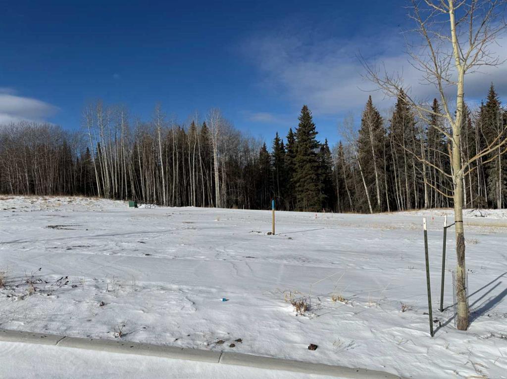 468 LILY Avenue , A2289798, Alberta,