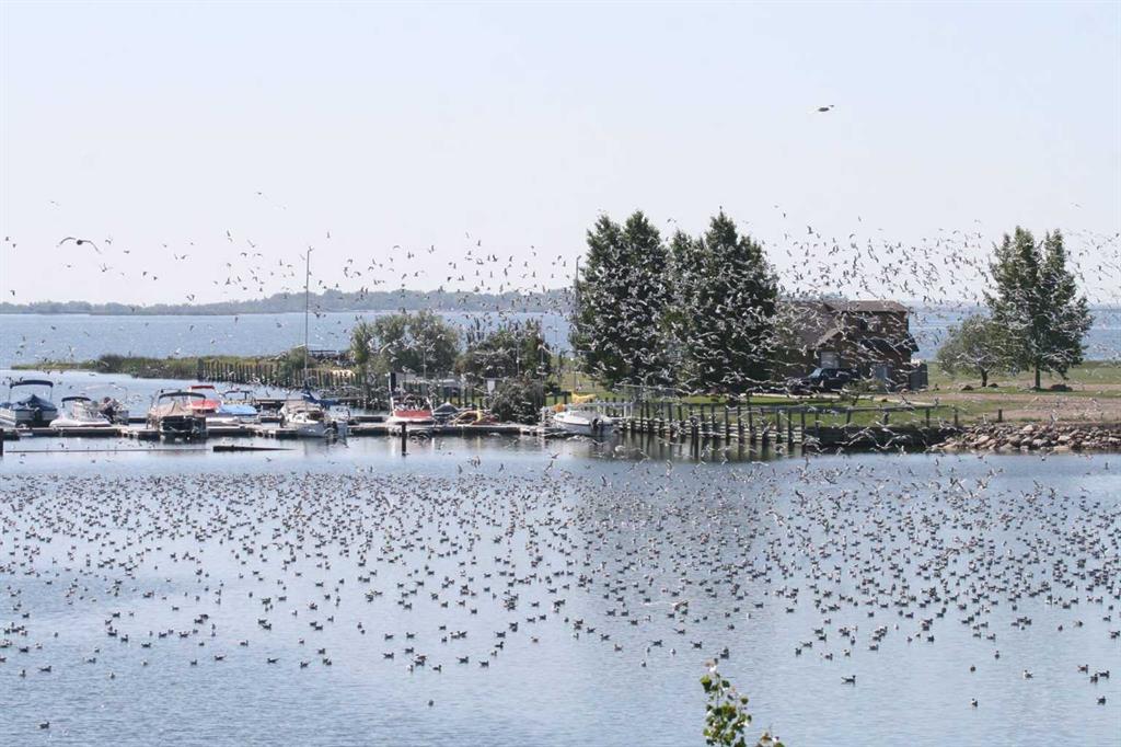 Fourth View of 95 white pelican View , NONE, Lake Newell Resort, Alberta, T1R 0V5