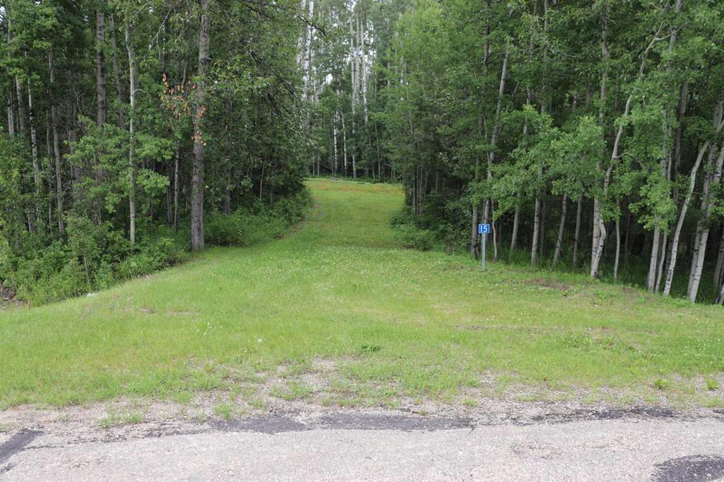 Third View of 53105 Range Road 195  , NONE, Rural Yellowhead County, Alberta, T7E 3A2