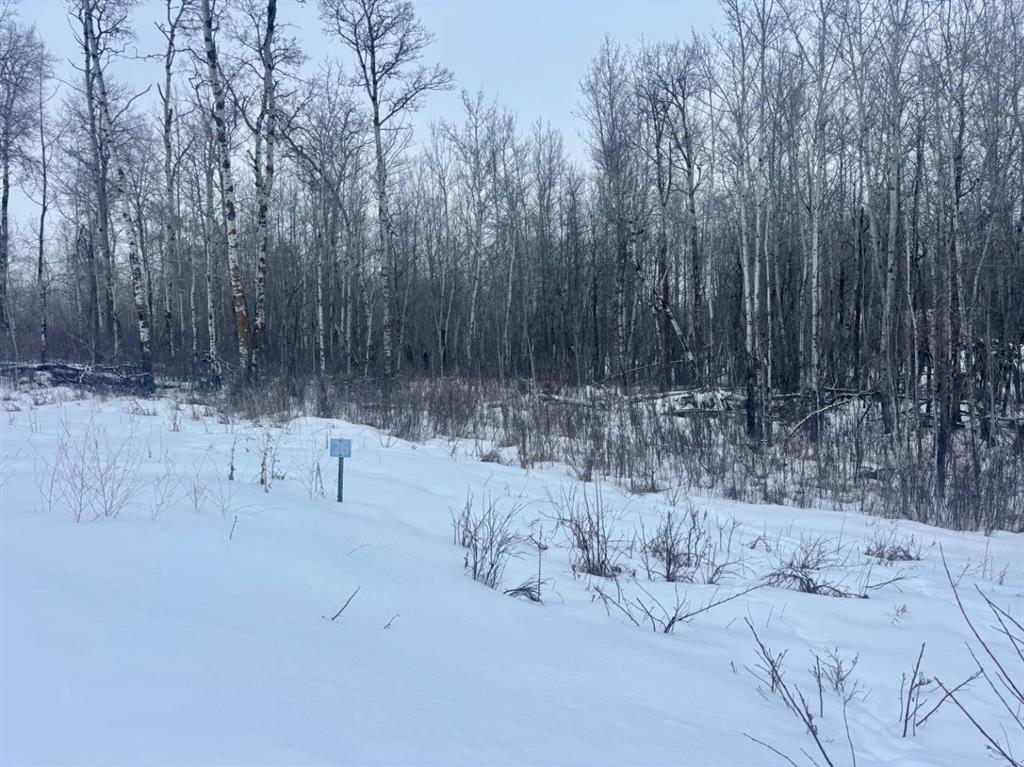 26 50220 204 Range , A2290305, Alberta,