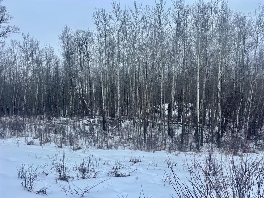 Third View of 26 50220 204 Range , NONE, Rural Beaver County, Alberta, t0b 4j2