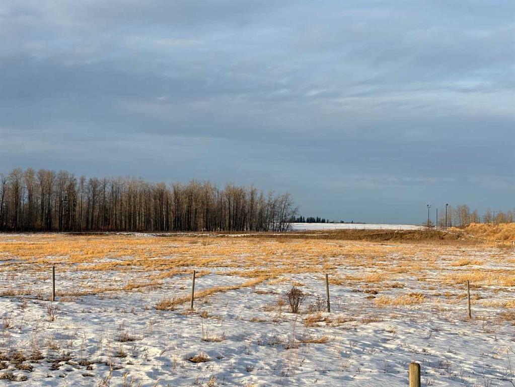 7005 53 Highway , A2290810, Alberta,